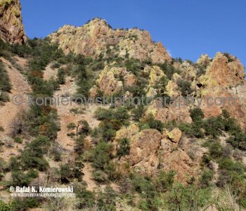 Big Bend NP...the land is more than desert or rock.....