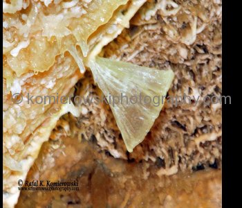 Caverns of Sonora, Texas