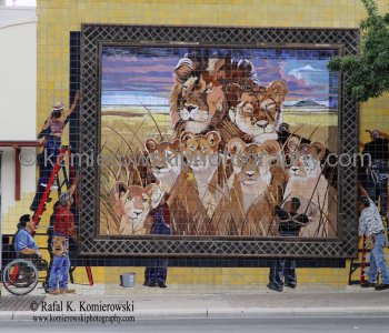 Goodwill Lion Mural - San Antonio, Texas, (mural depicting people hanging a picture of a pride of lions on the side of the Goodwill building near Market Square )