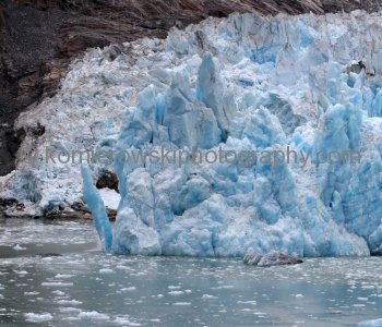 Sawyer Glacier in Tracy Arm Fjord, Calving a Large Iceberg