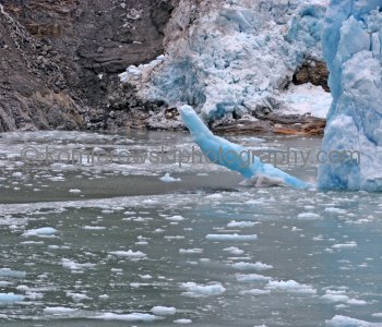 Sawyer Glacier in Tracy Arm Fjord, Calving a Large Iceberg