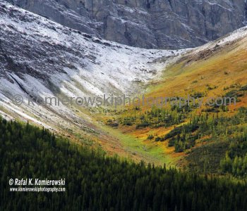 Autumn Colors (Calgary and Rockies, Alberta, Canada)