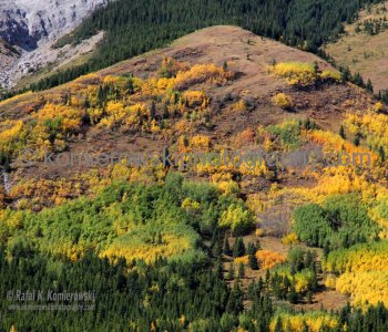Autumn Colors of  Mount Kidd, Kananaskis Country, Alberta