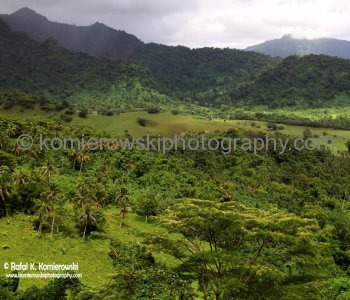 Day 14, MONDAY ,  October 15th ,  2012,  South  Pacific, TROPICAL RAINFOREST,   SAMOA