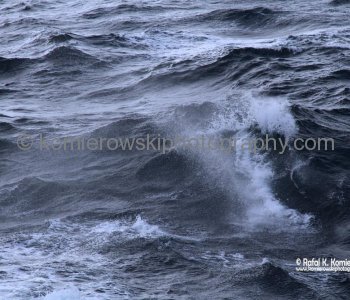 Day 22, TUESDAY,  October 23 ,  2012,    cruising to Sydney, Australia, South Pacific
