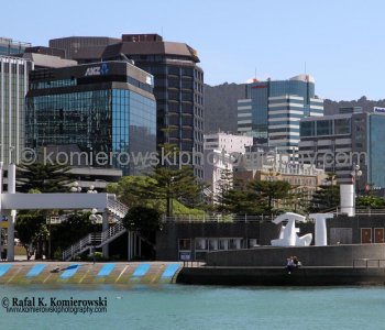 Day 30/ Day 8,  WEDNESDAY,  October 31 ,  2012,     WELLINGTON, New Zealand,