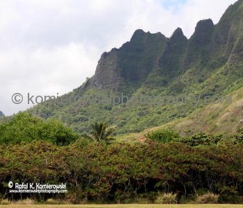 Oahu, Hawaii, USA