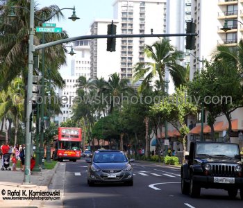 Waikiki,  Honolulu, Oahu, Hawaii, USA
