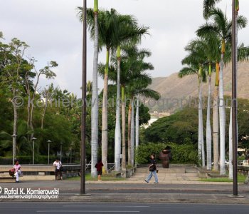 Honolulu, Oahu, Hawaii, USA