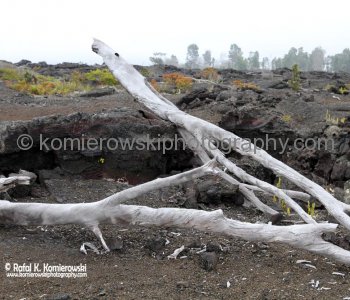 Hawaii Volcanoes National Park