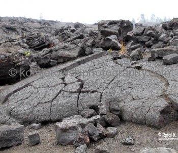 Hawaii Volcanoes National Park