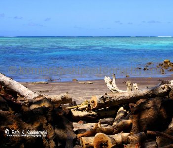 Upolu island, Samoa