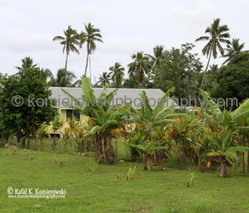 ...Kingdom of Tonga has traditionally thrived on agriculture and fishing...