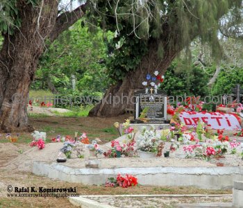 Tongan cemeteries are unique,  usually set in a grove of frangipani trees, the graves are strange, sandy mounds marked with flags and banners
