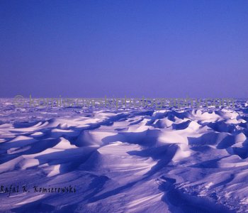 Canadian Arctic, Axel Heiberg Island Massey Sound, April 1975.  Open Arctic seen from Massey Sound and Sverdrup Channel