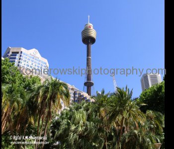 ...a view from Hyde Park, Sydney