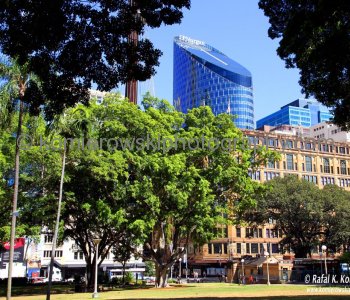 ...a view from Hyde Park, Sydney