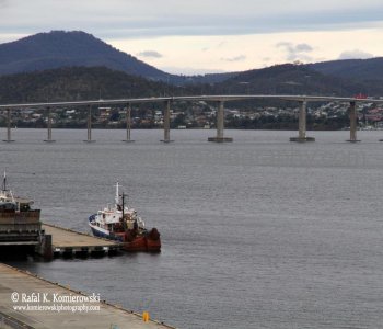 Many settled by the Derwent River and its deep harbour at the mouth to export things like fruit and wool to other parts of Australia and the British Empire