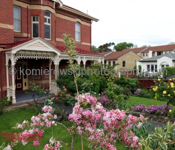 Spring garden flowers, Hobart