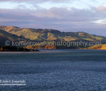 Inlet to Port Chalmers (Dunedin),  spectacular scenery observed from the deck of MS Oosterdam