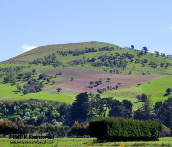 Exploring countryside in spring colors near Palmerson, north of Dunedin