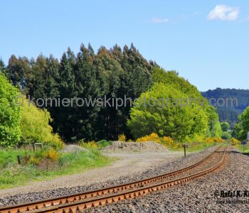 Exploring countryside in spring colors near Palmerson, north of Dunedin