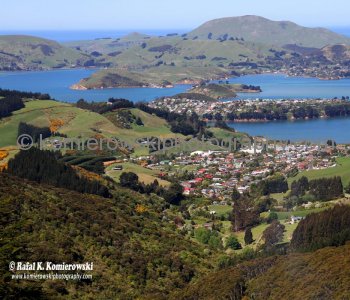 Countryside between Port Chalmers and Dunedin