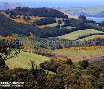Countryside between Port Chalmers and Dunedin