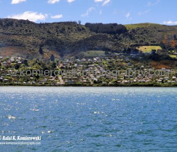 Dunedin