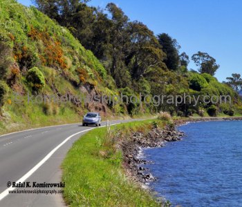 Dunedin  - early spring colors