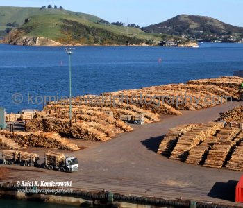 Forestry companies selling logs to international markets China, Korea, Taiwan and India. Port Chalmers, NZ