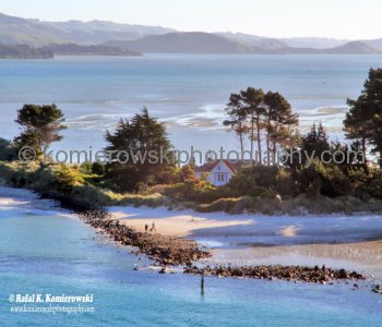 Wonderful scenery can be viewed along the way as you travel through the iconic landscapes of  Otago, Port Chalmers, Dunedin, New Zealand.