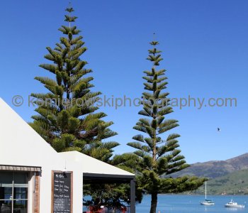 Akaroa, New Zealand