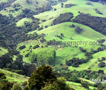 Akaroa is blessed with a wealth of walks around the harbour and in the surrounding hills and bays