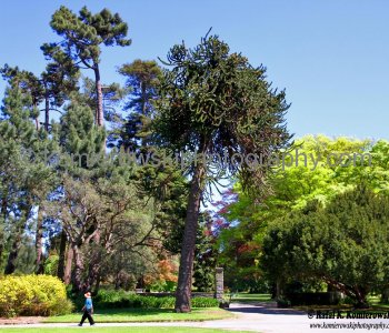 Christchurch Botanic Gardens, New Zealand
