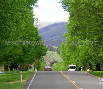 .....on the way to Akaroa....
