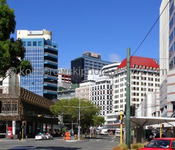 ....exploring on foot...Wellington is very compact, perched on the edge of a stunning natural harbor.....