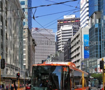 ....exploring on foot...Wellington is very compact, perched on the edge of a stunning natural harbor.....