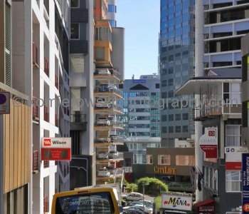 ....exploring on foot...Wellington is very compact, perched on the edge of a stunning natural harbor.....