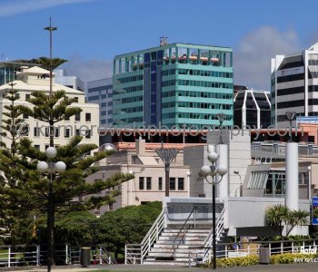 ....exploring on foot...Wellington is very compact, perched on the edge of a stunning natural harbor.....