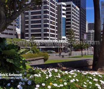 ....exploring on foot...Wellington is very compact, perched on the edge of a stunning natural harbor.....