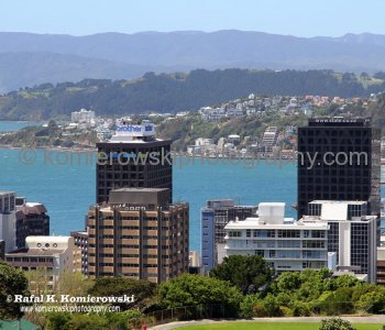View from Mt Victoria, Wellington, New Zealand