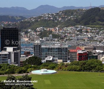 View from Mt Victoria, Wellington, New Zealand