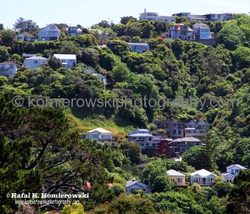 View from spectacular Botanic Garden, Mt Victoria, Wellington, New Zealand