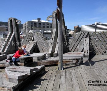City to Sea Bridge bridge is constructed of timber planking and is adorned with non-traditional wooden sculptures carved by prominent Māori artist Paratene Matchitt