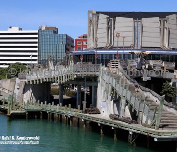 City to Sea Bridge bridge is constructed of timber planking and is adorned with non-traditional wooden sculptures carved by prominent Māori artist Paratene Matchitt