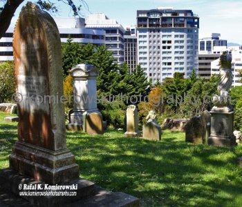 View of the cemetery in Bolton Street Memorial Park, with central city high-rises in the background.