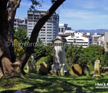 Bolton Street Memorial Park. Established as a cemetery in 1840 on the outskirts of the new town of Wellington, separate burial areas were designated for Anglicans, Jews and Roman Catholics