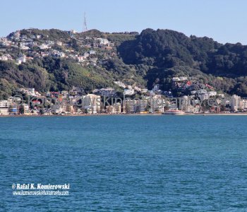 View from upper deck on MS Oosterdam, Wellington, New Zealand