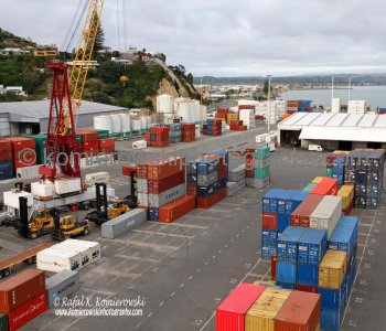 Our cruise ship MS Oosterdam arrived to the Port of Napier which is a working port with no pedestrian access, so passengers are shuttled into the centre of the city by the port shuttle